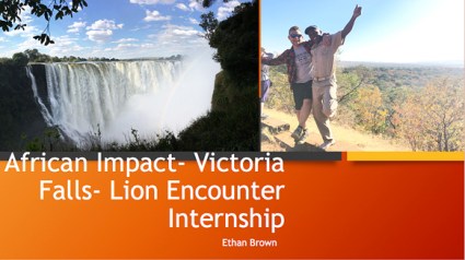 African Impact cover