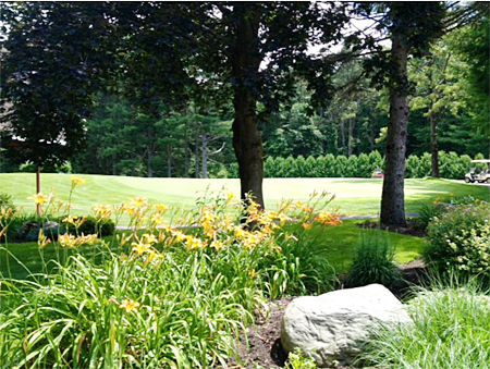 Screen Shot 2017-05-10 at 7.09.17 PM