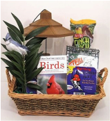 Screen shot 2017-12-15 at 10.55.14 AM