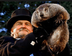 Screen Shot 2018-02-05 at 1.50.50 PM