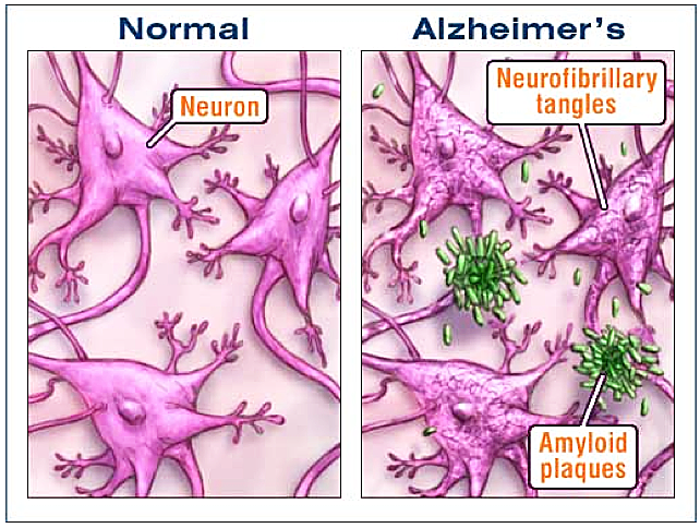 Screen shot 2018-04-06 at 1.07.08 PM