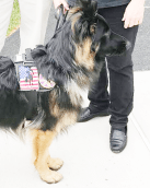 Screen Shot 2018-06-21 at 12.45.18 PM