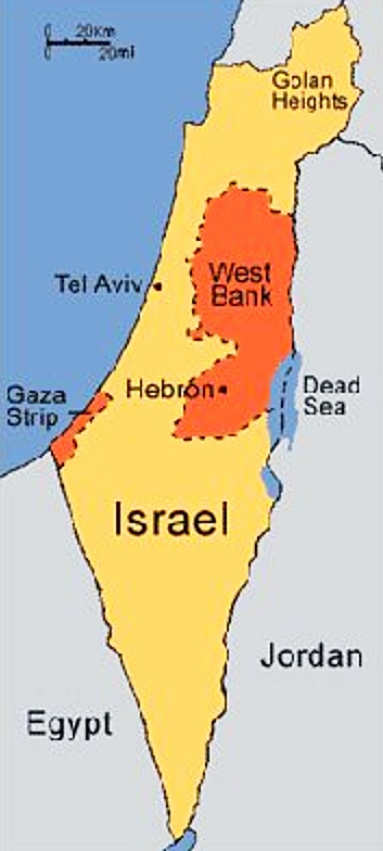 Screen Shot 2020-02-24 at 1.24.14 PM