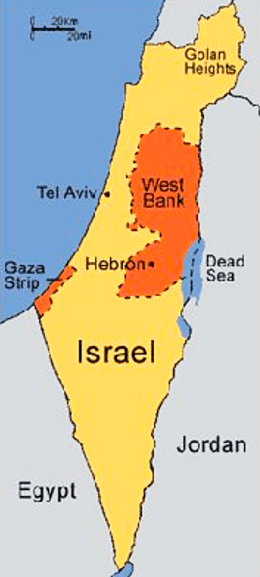 Screen Shot 2020-02-24 at 1.24.14 PM