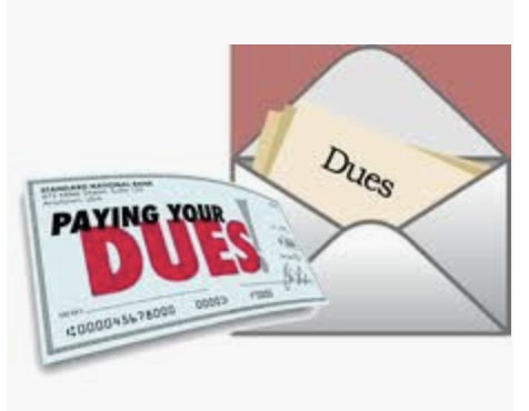 Screen Shot 2020-06-28 at 6.55.07 PM